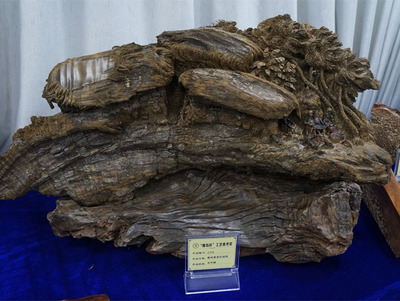 金奖：《椰风黎寨织锦绣》（作者：费登科）.jpg
