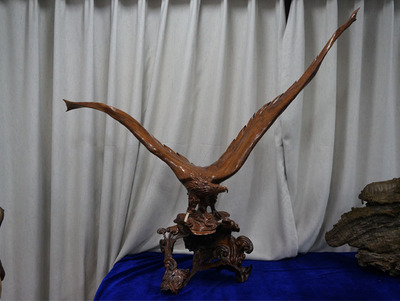 银奖：《雄鹰展翅》（作者：黎均海）.jpg